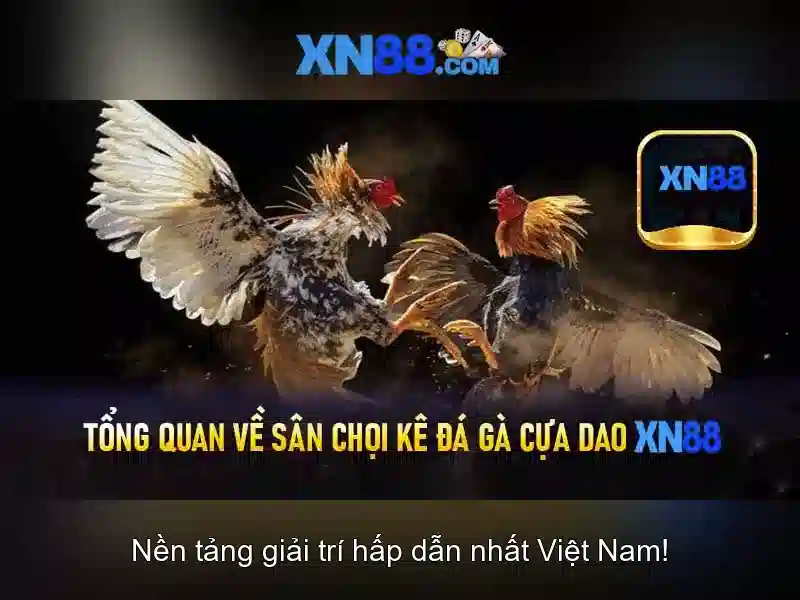 Quy trình đăng ký